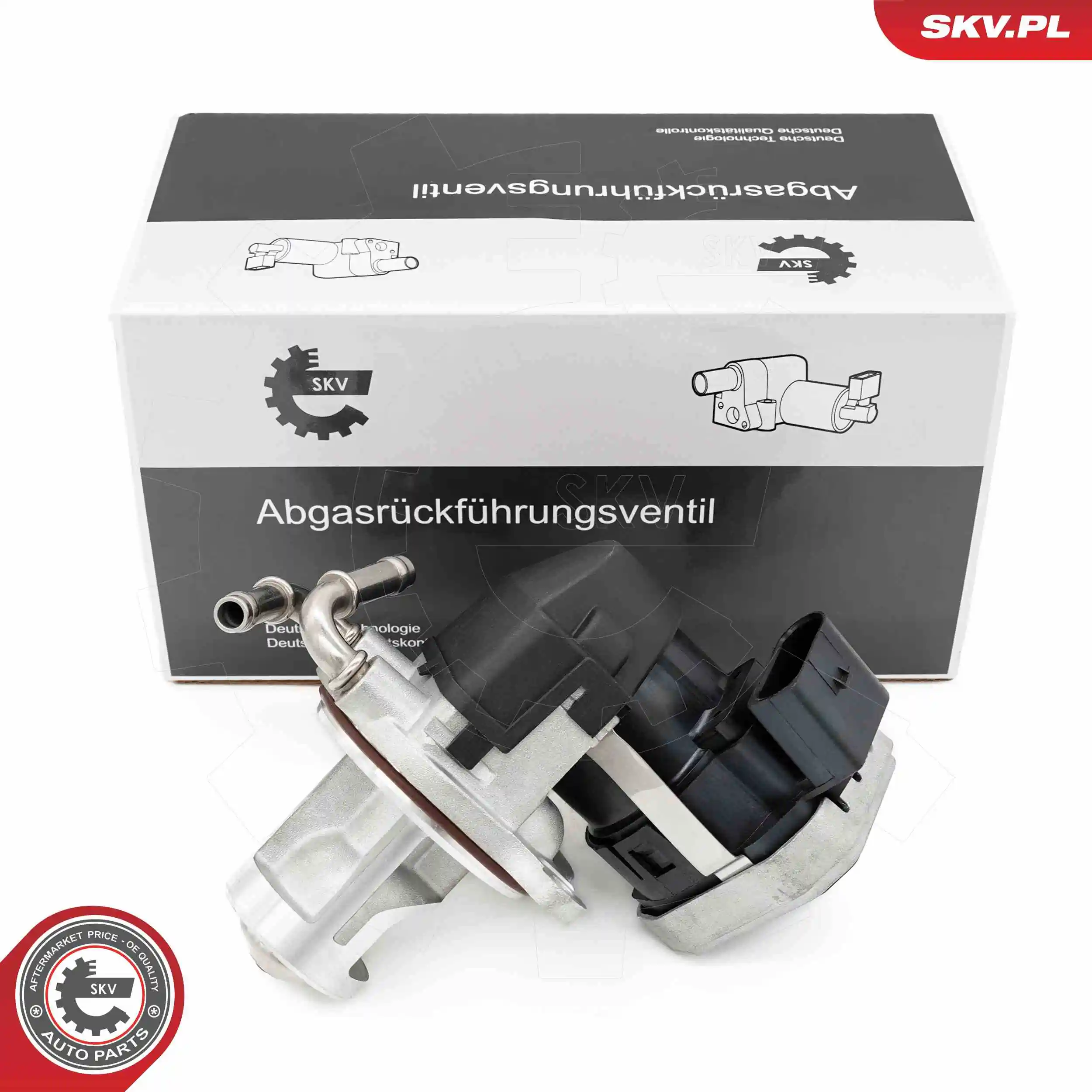 EGR Valve